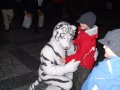 DSCF2733.JPG
